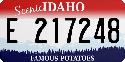 ID license plate E217248