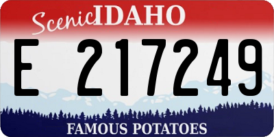 ID license plate E217249