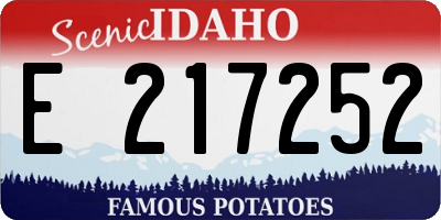 ID license plate E217252