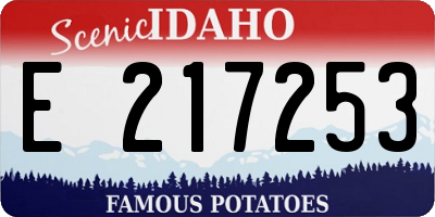 ID license plate E217253