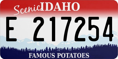 ID license plate E217254