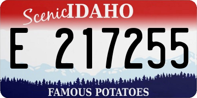 ID license plate E217255