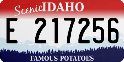 ID license plate E217256