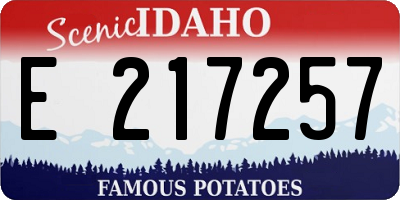 ID license plate E217257