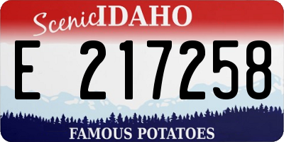 ID license plate E217258