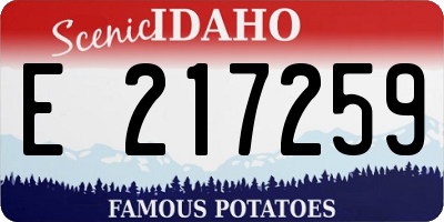 ID license plate E217259