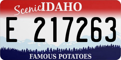 ID license plate E217263