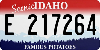 ID license plate E217264