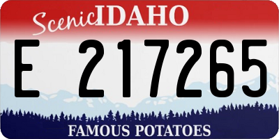 ID license plate E217265