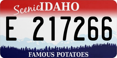 ID license plate E217266