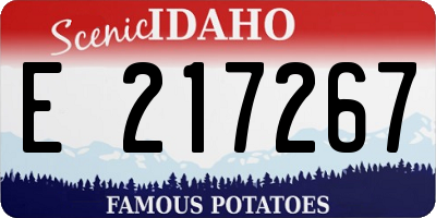 ID license plate E217267