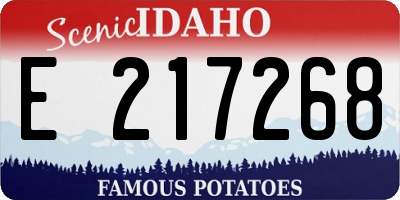 ID license plate E217268