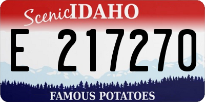 ID license plate E217270