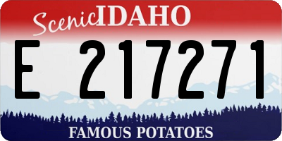 ID license plate E217271