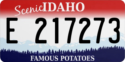 ID license plate E217273