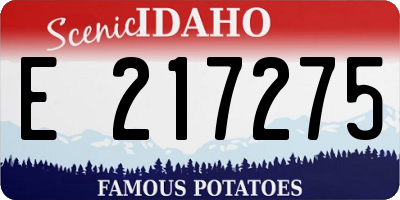 ID license plate E217275
