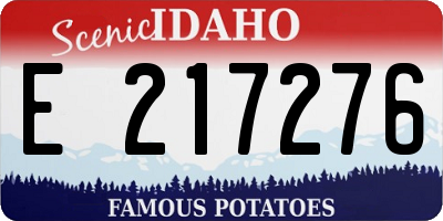 ID license plate E217276