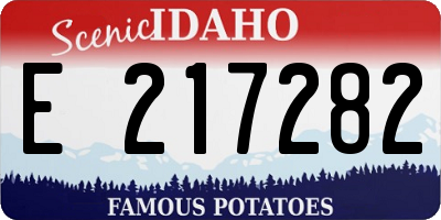 ID license plate E217282
