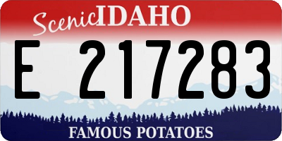 ID license plate E217283