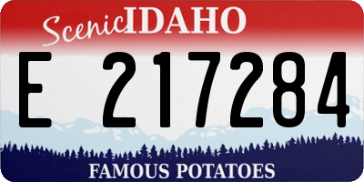 ID license plate E217284