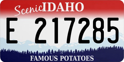 ID license plate E217285