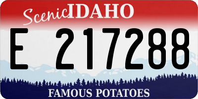 ID license plate E217288