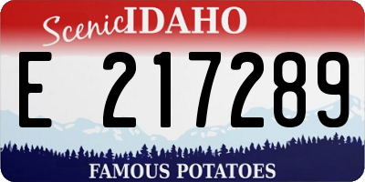 ID license plate E217289
