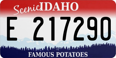 ID license plate E217290