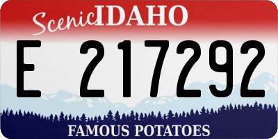 ID license plate E217292