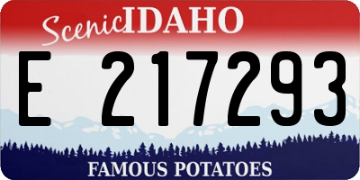 ID license plate E217293