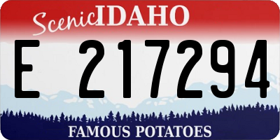 ID license plate E217294