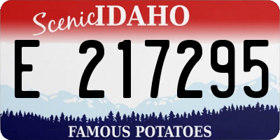 ID license plate E217295