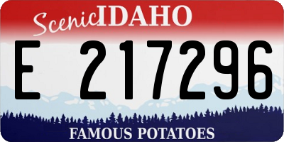 ID license plate E217296