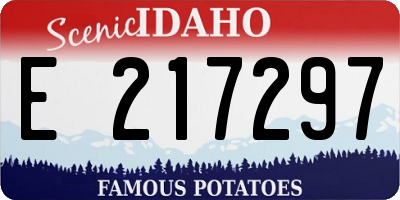 ID license plate E217297
