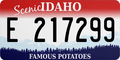 ID license plate E217299
