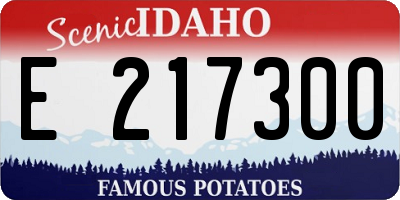 ID license plate E217300