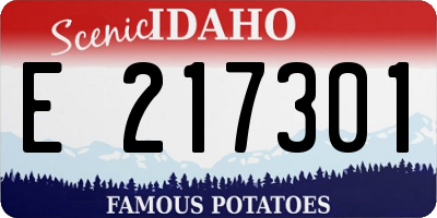 ID license plate E217301