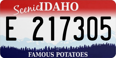 ID license plate E217305