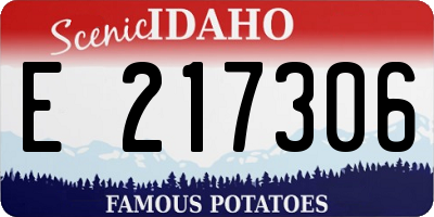 ID license plate E217306