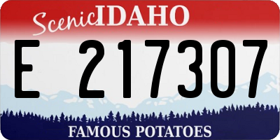 ID license plate E217307