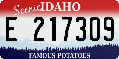 ID license plate E217309