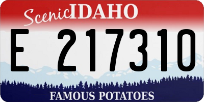 ID license plate E217310