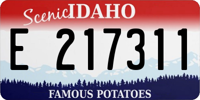 ID license plate E217311