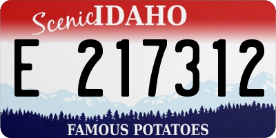 ID license plate E217312