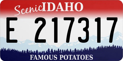 ID license plate E217317