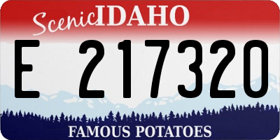 ID license plate E217320
