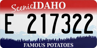 ID license plate E217322