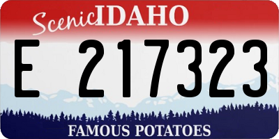ID license plate E217323