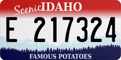 ID license plate E217324