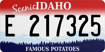 ID license plate E217325